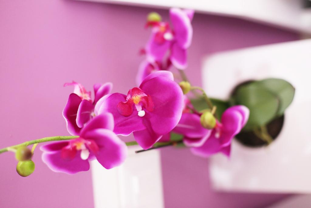 Iris Room Roma Cameră foto